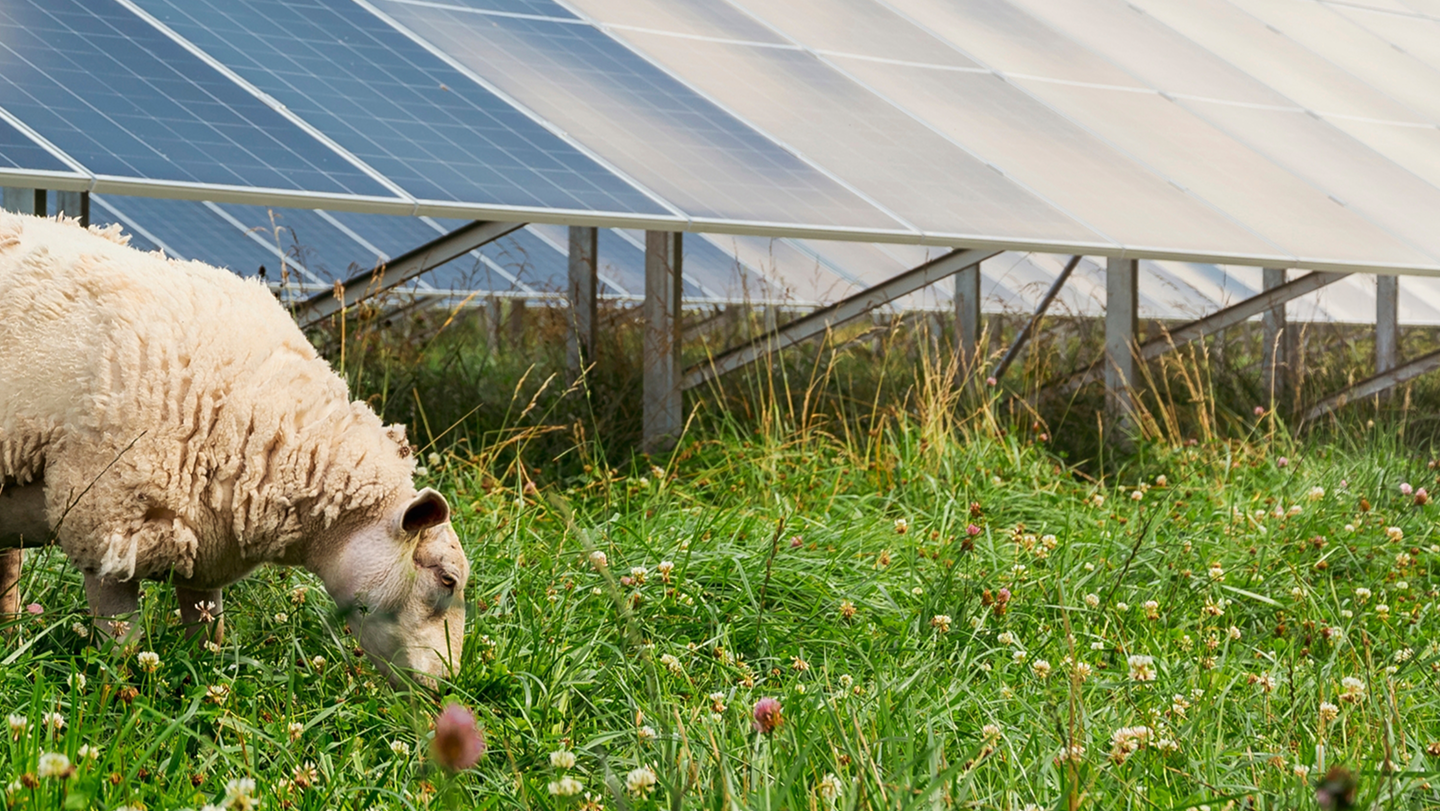 Renewable energy  for agriculture